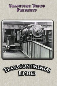 The Dixie Flyer streaming sur filmcomplet