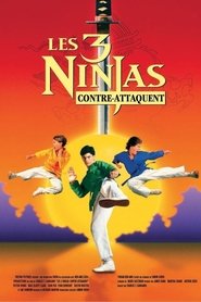 Ninja Kids : Les 3 Ninjas Contre-Attaquent 1994