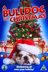 Film A Bulldog for Christmas streaming VF complet