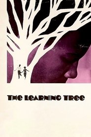Imagen de The Learning Tree