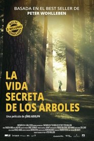 Imagen de La vida secreta de los árboles