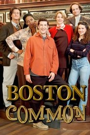 Poster of Boston Common