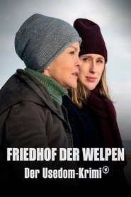Poster of undefined
