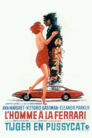 Film L'Homme à la Ferrari streaming VF complet