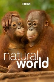 Poster of Natural World