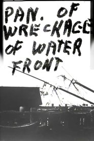 Film Panorama of Wreckage of Water Front streaming VF complet