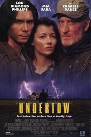 Poster of undefined