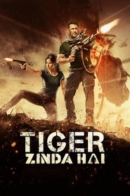 Tiger Zinda Hai 2017