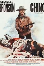 Film Chino streaming VF complet