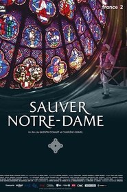 Imagen de Sauver Notre-Dame