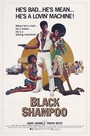 Film Black Shampoo streaming VF complet