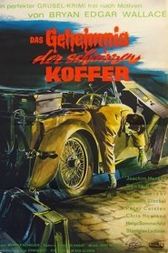 Das Geheimnis der schwarzen Koffer