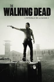 The Walking Dead streaming sur filmcomplet