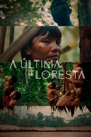 The Last Forest