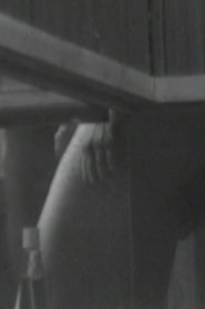 Film Sauna View streaming VF complet