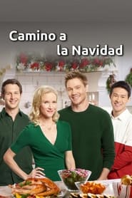 Imagen de Camino a la Navidad