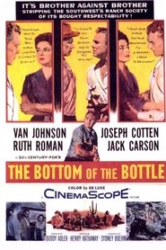 Film The Bottom of the Bottle streaming VF complet