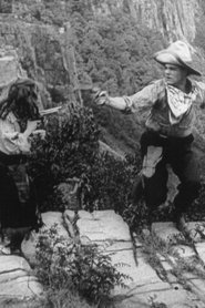 Two Little Rangers streaming sur filmcomplet