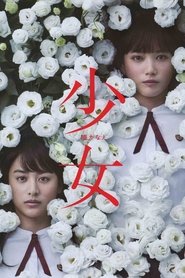 Imagen de Night's Tightrope