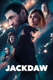 Imagen de Jackdaw