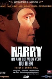 Film Harry, un ami qui vous veut du bien streaming VF complet