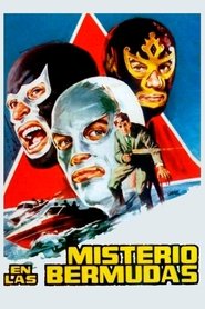 Poster of undefined