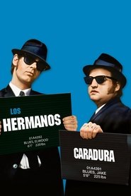 Imagen de Blues Brothers 2000 (El ritmo continúa)