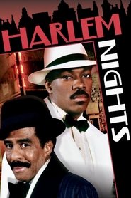 Imagen de Noches de Harlem