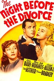 The Night Before the Divorce streaming sur filmcomplet