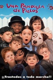 Una pandilla de pillos 1994