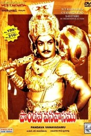 Imagen de Pandava Vanavasamu