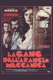 Film Last House in Istanbul streaming VF complet