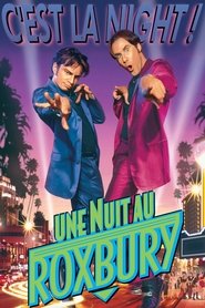 Film Une Nuit au Roxbury streaming VF complet