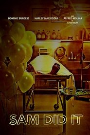 Poster of undefined