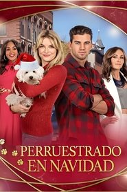 Imagen de Perruestrado en Navidad