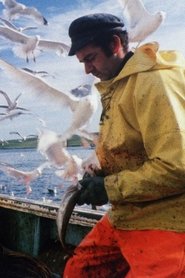Film The Shetland Experience streaming VF complet