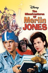 Film Les Mésaventures de Merlin Jones streaming VF complet