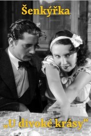 Šenkýřka „U divoké krásy“ streaming sur filmcomplet
