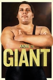 Andre the Giant 2018