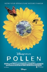 Film Pollen streaming VF complet
