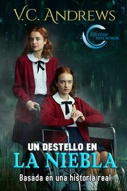 Imagen de Un destello en la niebla