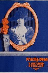 The Silk Lined Burglar streaming sur filmcomplet