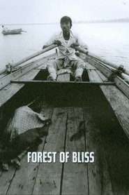 Imagen de Forest of Bliss