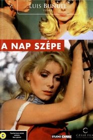 A nap szépe 1967