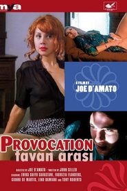 Film Vizio e provocazione streaming VF complet