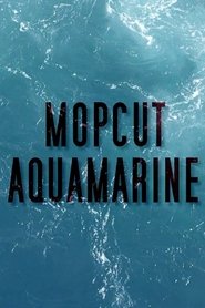 Film Aquamarine streaming VF complet
