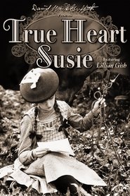 Imagen de Pobre amor (El verdadero corazón de Susie)