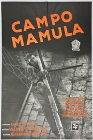 Film Campo Mamula streaming VF complet