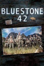Poster of Bluestone 42