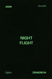 Imagen de NIGHT FLIGHT